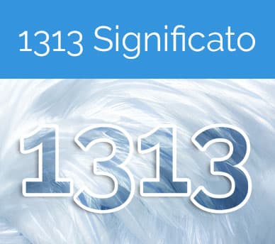 1313 angeli