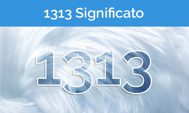 1313 significato angelico